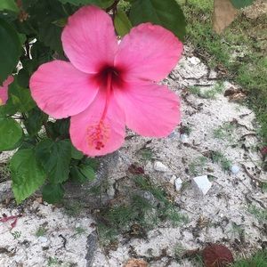 Meet your Posher, Brandi